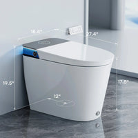 Unique HOROW T30 Bidet Toilet Unique HOROW T30 Bidet Toilet