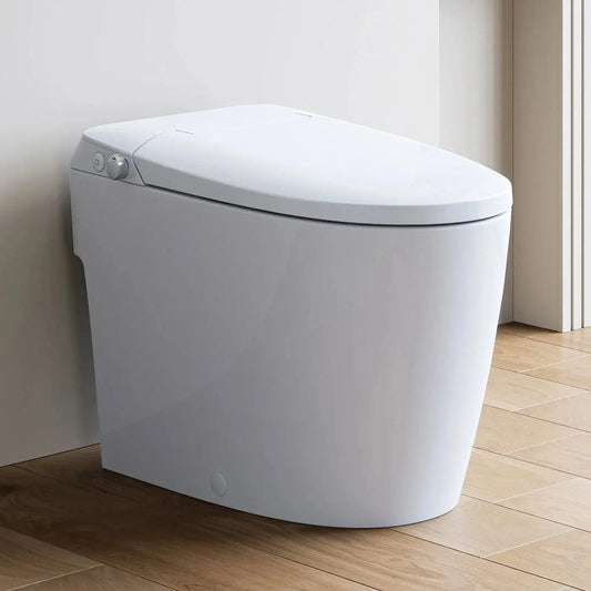 Unique HOROW T30 Bidet Toilet
